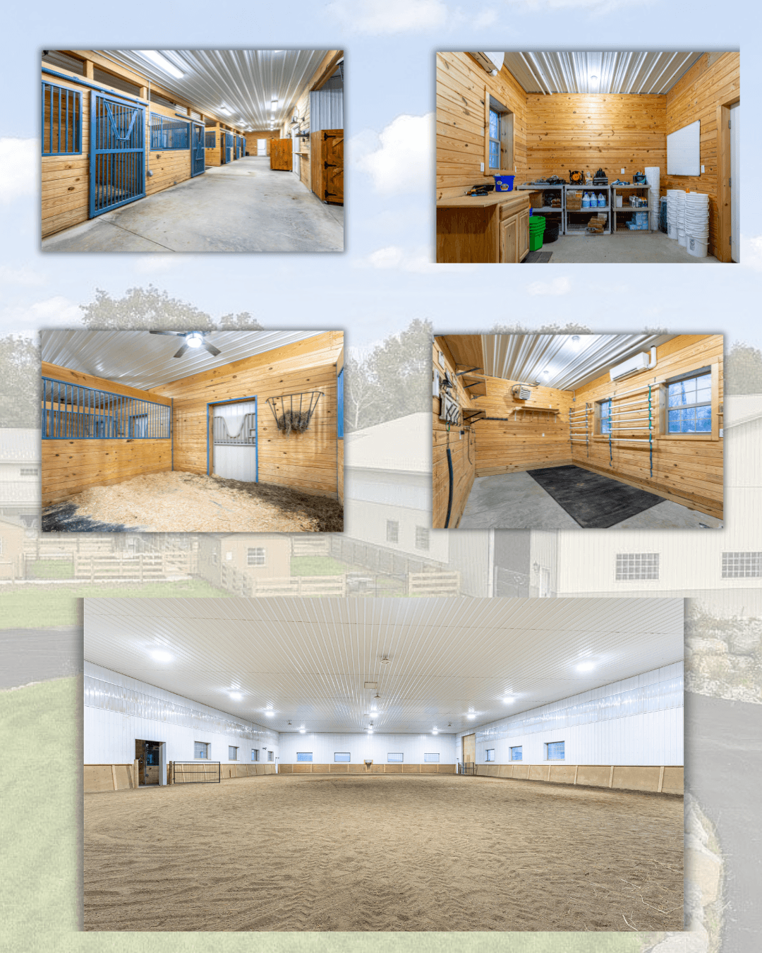 A Natural Environment for You and Your Horse