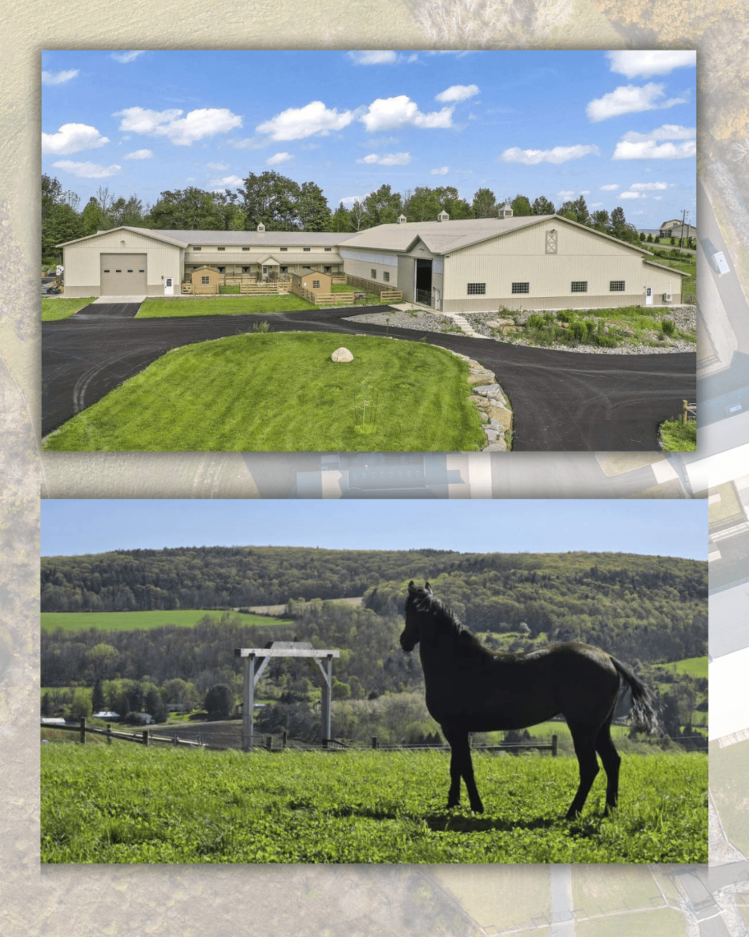 Horse-Boarding-facilities
