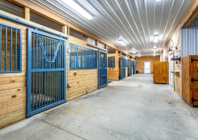 Modern horse stable corridor with blue stall doors